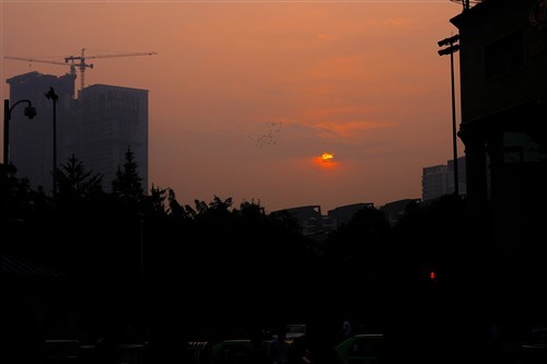 四川峨眉山游记腾云驾雾的世外桃源