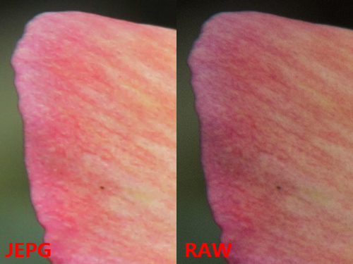 RAW格式詳解 