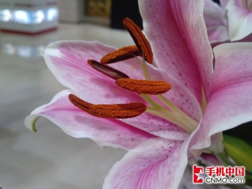 1300万像素双核旗舰摩托罗拉MT917图赏(4)