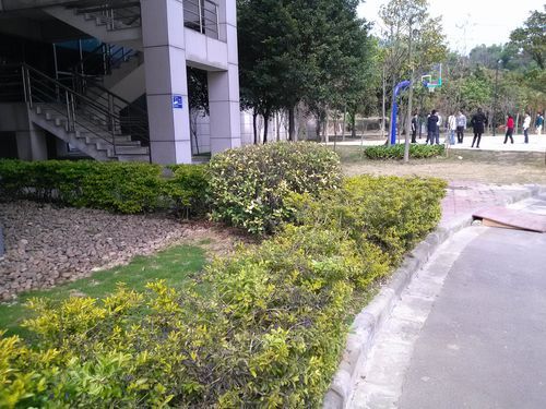 4.5寸高清屏LG双核智能机LU6200评测(3)