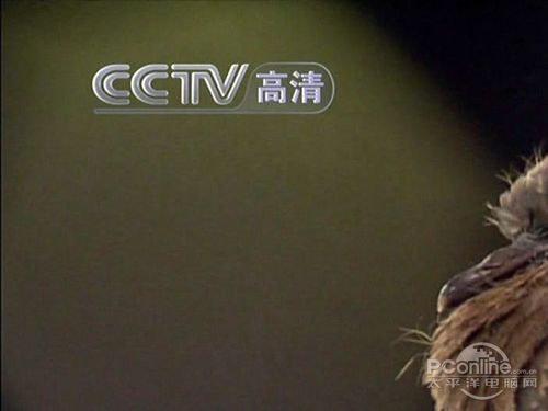 谎言or真相等离子电视烧屏问题真机实测