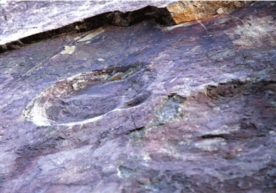 北京首次发现恐龙足迹化石(组图)