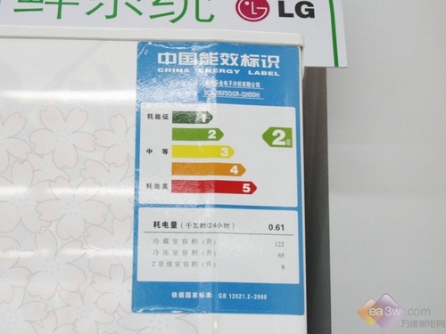 LG两门冰箱降100元 绣球花纹超值享受