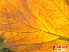价格仅差10元摩托罗拉RAZR对比I9100(4)