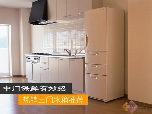 中门保鲜有妙招 热销三门冰箱推荐
