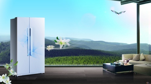 ����ˮ�ϰٺϴ��� ����BCD-560WG��������