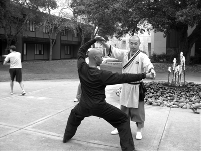斯坦福大学“少林弟子”:科研精英迷恋拳脚