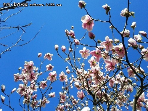 Win7小白训练营:巧施计找回误删文件_软件学