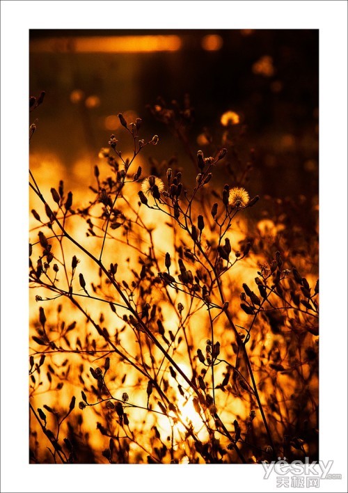 爱在黄昏日落时 用光影留住那些感动瞬间_数码