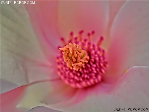 Ļѡ1cm΢๦Ƽ