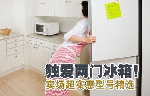独爱两门冰箱!