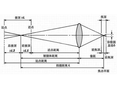 镜头反接不只是玩票 微距摄影另类玩法(2)_数码