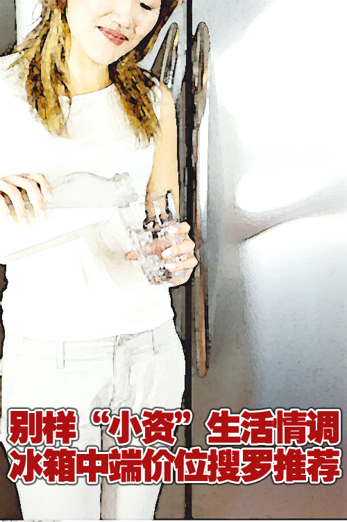 夏日“小资”情调 中端价位冰箱推荐