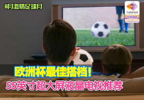 欧洲杯最佳搭档 55英寸超大液晶推荐