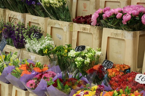 1周影像头条:索尼RX100\/佳能650D发布_数码