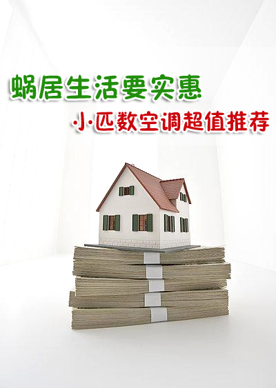 蜗居生活要实惠 小匹数空调超值推荐