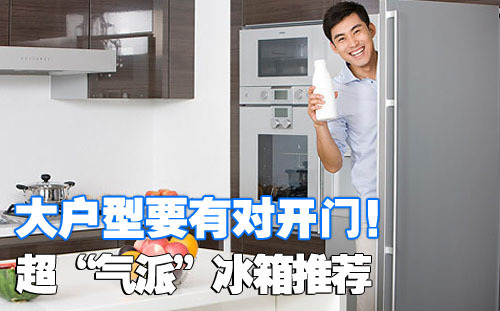 大户型要有对开门!