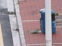 M4/3С�����񾵰��ְ�˹45mm/F1.8����