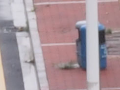 M4/3С�����񾵰��ְ�˹45mm/F1.8����