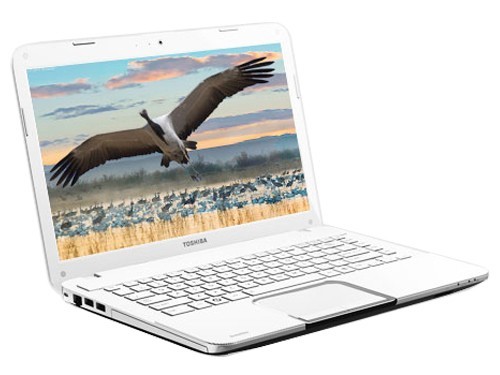 ����ʽ���̶�֥L800-S06W�ʼǱ���3999