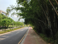 iPhone5/4S/С��2/I9300�������ŶԱ�(2)