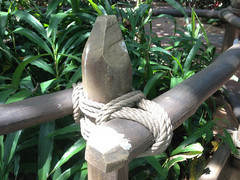 iPhone 5�������� 