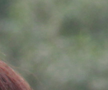 �����׿����ͬ������ ��ŵYN568EX����