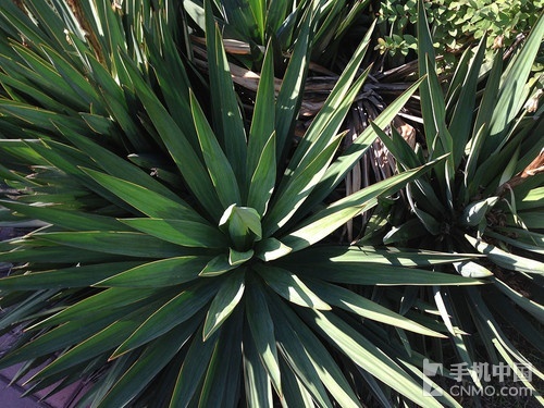 �ٶȸ�����ʾ������ iPhone 5�������� 