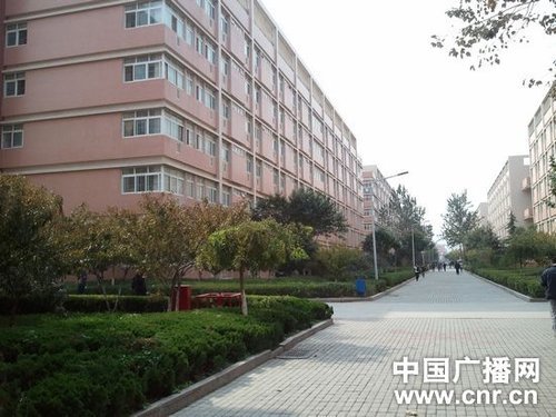 ������ʿ����������