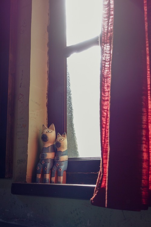 给专业影人的一封情书 专业备机索尼黑卡试用后专访