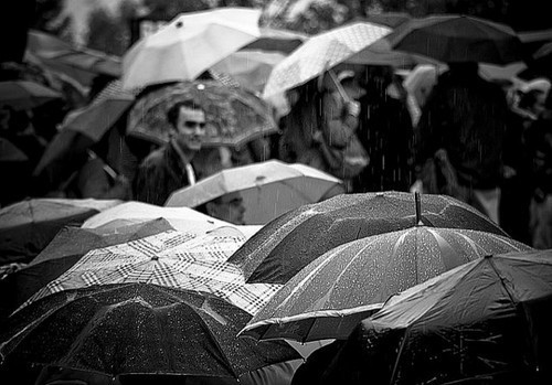 雨水让照片更有感觉 雨天摄影全攻略