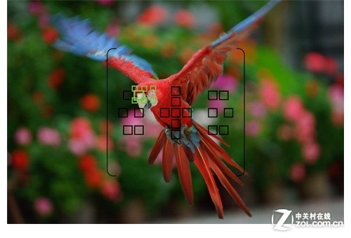 全球首款全画幅半透镜单电索尼A99评测