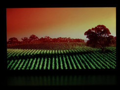 PPI����HTCButterfly��ĻЧ������