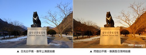 ����Ƭ���ո�ǿ�Ұ�ƽ���ħ��