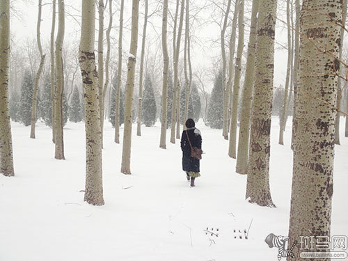 编辑实拍对比 三款拍摄雪景软件推荐_手机