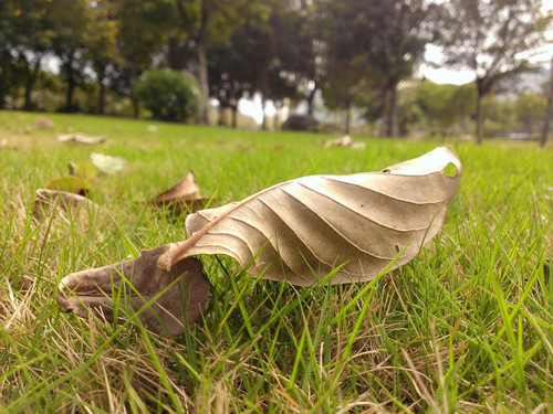 顺畅系统感受 WP8旗舰HTC 8X电信版评测 - 机