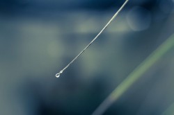 Ubuntu 13.04ϵͳȫĬϱֽ