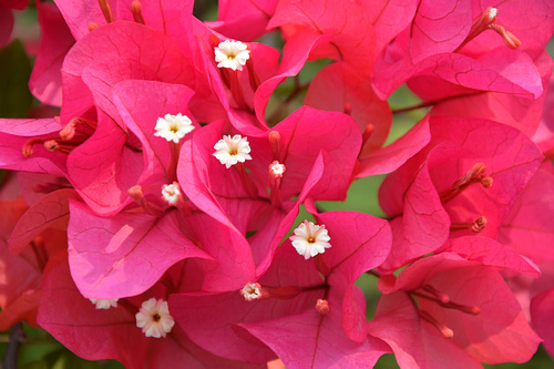 非全画幅单反最佳选择 尼康D7100评测(4)|尼康