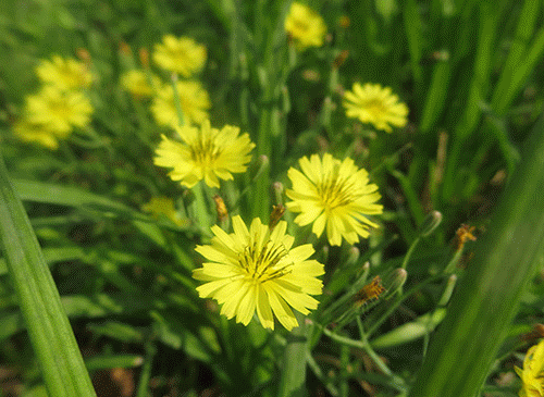 大眼小脸n美人儿 佳能poweshot n评测(4)_数码_新浪