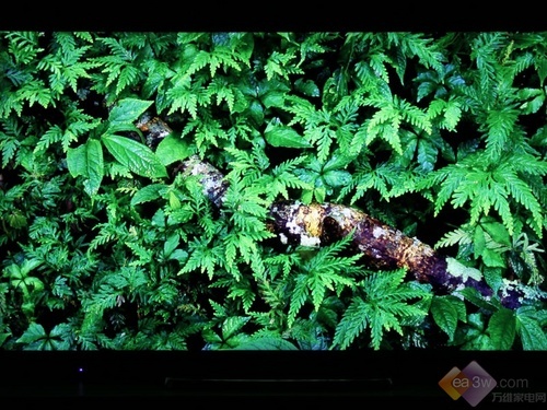 Picture: 50 inches 4K Ultra HD resolution TV Haier first test