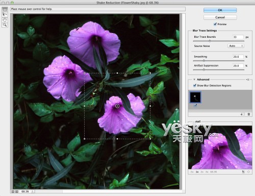 Adobe Photoshop CCȫ¹Ԥ