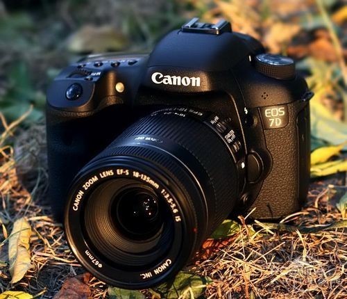 单反相机排行榜_佳能单反相机排行榜(5)