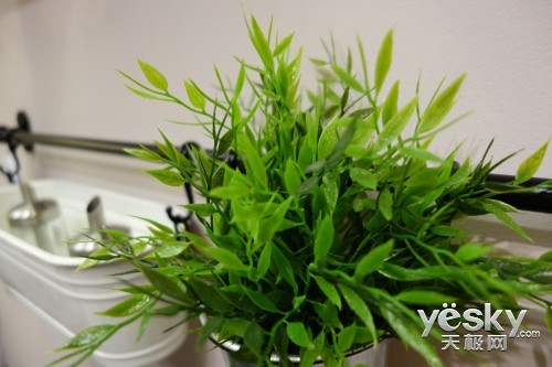 终极画质 从黑卡™开始 索尼RX100 II评测