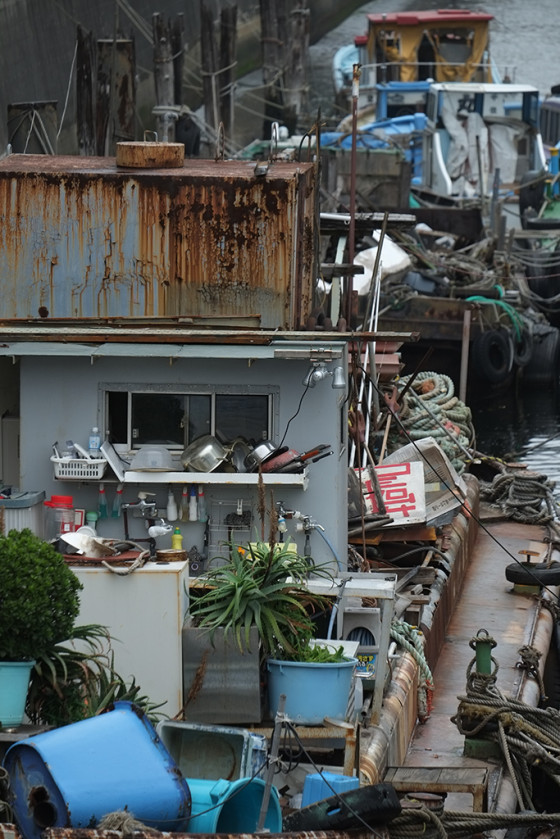 旁轴范的长焦 富士XF 55-200镜头海外体验|配