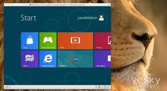 MacParallels֧Win8.1