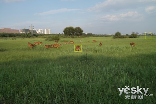 35mm给特别的你 索尼全画幅黑卡™RX1R评测