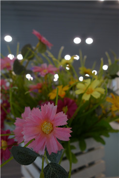 黑卡挑衅微单 新旧索尼RX100对比NEX 5R_数