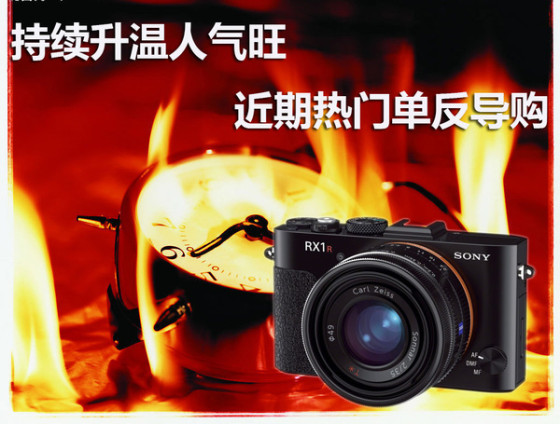 持续升温人气旺六款近期热门单反导购