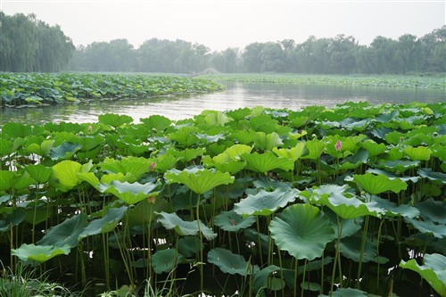 摄影师的随身利器索尼RX1R详细评测(5)