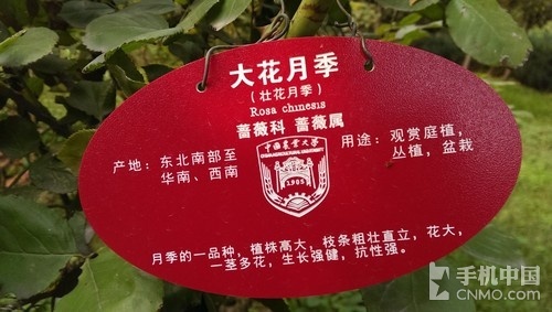 高清屏时尚智能强机 HTC One mini评测